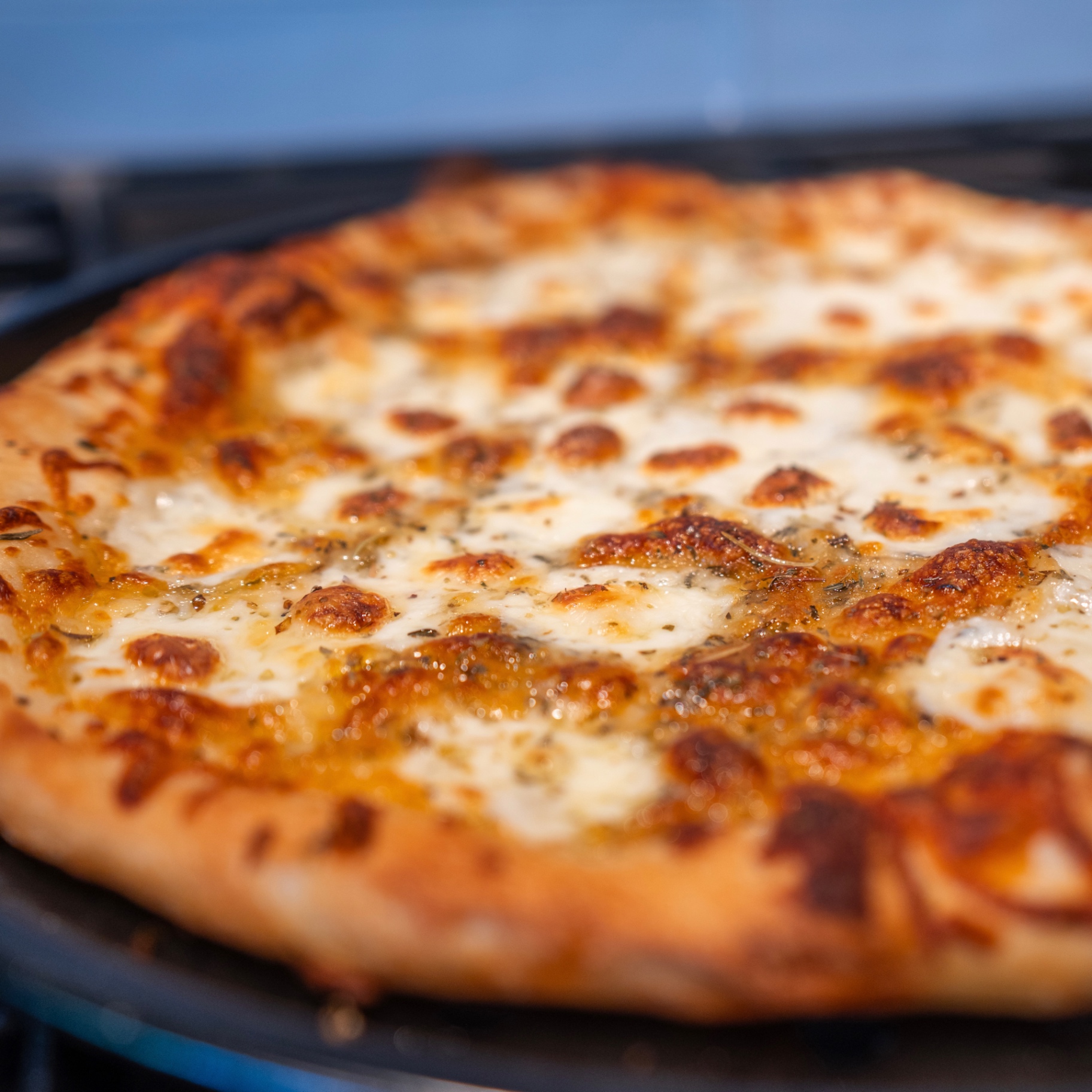 Blistered cheese pizza close-up
